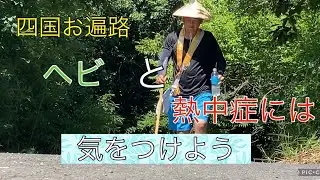 ヘビと熱中症には気をつけよう！#24