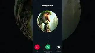 prr prr patapim called me, should i answer⁉️ #anomaly #shorts #foryou #prankcalls