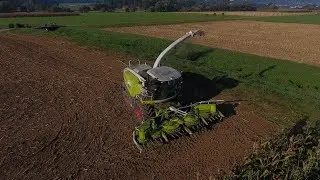 2018 CORN SILAGE / MAIS HACKSEIN (Slovenia)