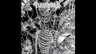 Tomb Mold - Primordial Malignity (Full Album)