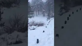 Snows fall in cyprus 🇨🇾🇬🇷🇪🇺