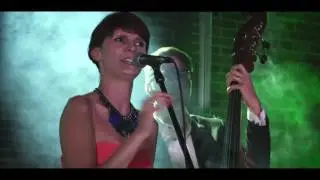 Iwan Iwanilia (Vorbire Maestra) - Testosteron (cover Kayah) Opole 2016
