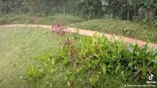 #maringph 💧