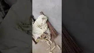 Hand feeding lovebirds🦜 no face reveal ok