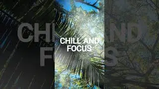 Chill and Focus 🎶 #loungelyfe #chilloutstation #relaxing