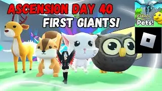 1st Ascension - Day 40 Getting my first giants! - Collect All pets / Roblox