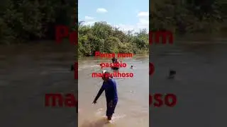 #avidaeassim