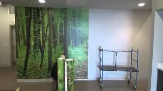 Wall Mural Installation - Associated Graphics, Inc.