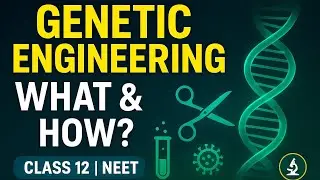 Genetic Engineering Introduction | What is Genetic Engineering? | Easy Explanation | NCERT Class 12