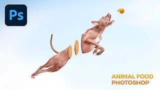 TUTORIAL PHOTOSHOP // HOW TO CREATE ANIMAL PHOTO MANIPULATION