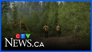 N.B. fire chief calls for changes amid intense wildfire season