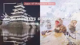 Nagano Prefecture Explained | Snow Monkeys, Samurai Castle & Olympic Skiing | Japan Series #16