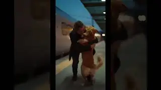 He Waited Every Evening&hellip; Then This Train Changed Everything 🐕💛 #doglove