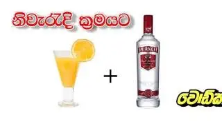 නිවැරදිව වොඩ්කා බොමු How to Drink Vodka