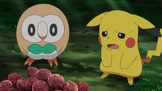 ASH LEARN BULLET SEED