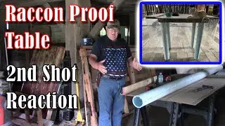 3rd Try Raccoon Proof Table & 2nd Shot Side Effects