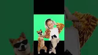 🍎 Fruits vs Vegetables  Learning with Luna the Magical Pup! 🥦