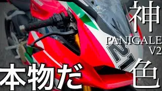 【DOCATIベイリス】公道を走る色では無い　レースマシンのカラーリング