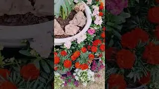 Beautiful flower decoration || Beautiful Flower Garden Tour | Colorful Blooms & Relaxing Nature