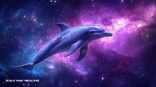 1111Hz 🐬 Cosmic Dolphin &bull; Connect with Blessings & Positive Energies &bull; Renewal Energies