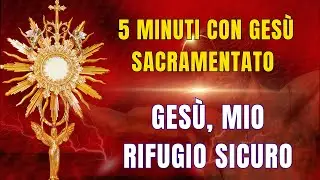 15 MINUTI CON GESU SACRAMENTATO - Trova Riposo e Protezione nel Suo Amore