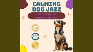 Bark Bop Symphony