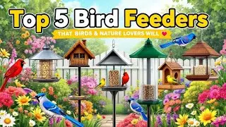 Top 5 Bird Feeders That Birds & Nature Lovers Will ❤️