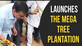 Delhi CM Arvind Kejriwal Launches the Mega Tree Plantation Drive Van Mahotsav | 5 Lakh Plantation