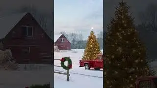 A Country Christmas: Cozy Tunes & Rustic Holiday Charm 🎄🎶 #christmas #holidaymelodies #chilloutmusic