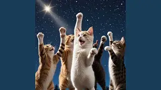 Cat Paw Punch