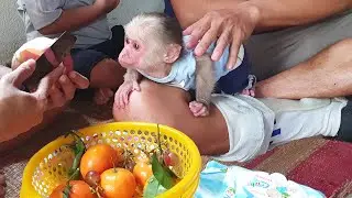 Family of my disabled and baby monkey Bod never lose hope in life