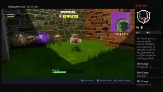 PS4-Live-&Uuml;bertragung von TimsBiene
