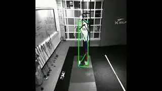 Skeleton Analysis