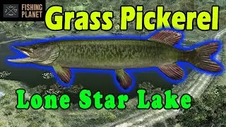 Grass Pickerel - Lone Star Lake - How to Catch - Fishing Planet - Beginner's Guide
