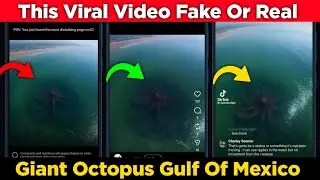 Гигантский осьминог в Мексиканском заливе? Объяснение вирусного видео | Реальное или ошибочное оп...