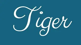 Learn how to Sign the Name Tiger Stylishly in Cursive Writing