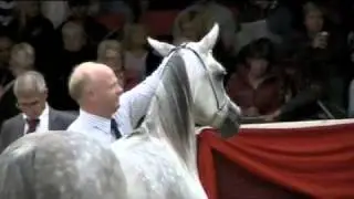 UK International Arabian Horse Show 2010