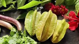 Today's harvest from my terrace garden 🏡🙏