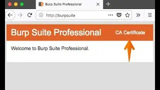 Burp Suite Community Edition SSL Certificate Installation Guide | Secure Your Web Environment