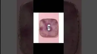 ||BTS Nail art designs tutorial||House of nails 18||