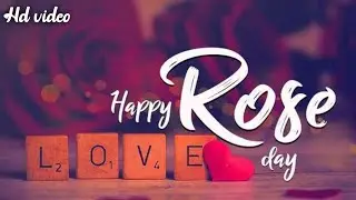 Rose day whatsapp status|Red rose whatsapp status|Happy rose day romantic status|rose day status