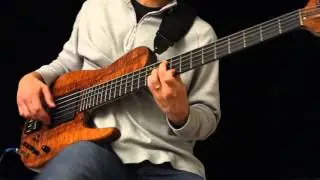 Solo Bass Song - 'Reflections of Summer' | Fodera | Strymon