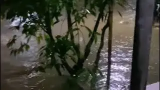 Buat pertama kalinya rumah kontrakan kena banjir panik smpe mau nagis karena paksuami yg gk kunjung 