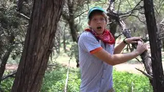 The Sprout Scouts Meet the Squirrel