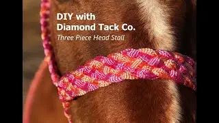 Three Piece Adjustable Mule Tape Head Stall