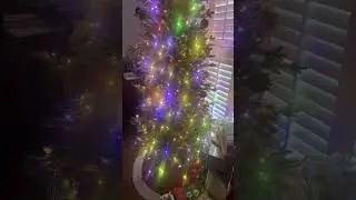 Showing a presentation of the new families&rsquo;s Christmas tree, changing colors with the lights ￼