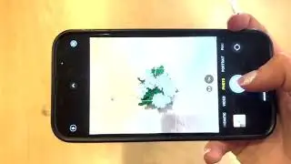 Averys how to take better iphone photos tutorial