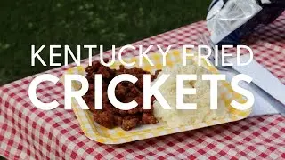 Recipe: Kentucky Fried Crickets!