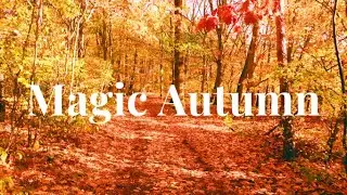 Magic Autumn  Walk - Relaxing Music
