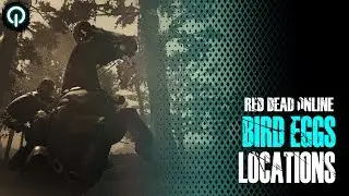 Bird Eggs Locations (Collector Role) | Red Dead Online